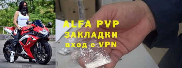 гидра Алексин