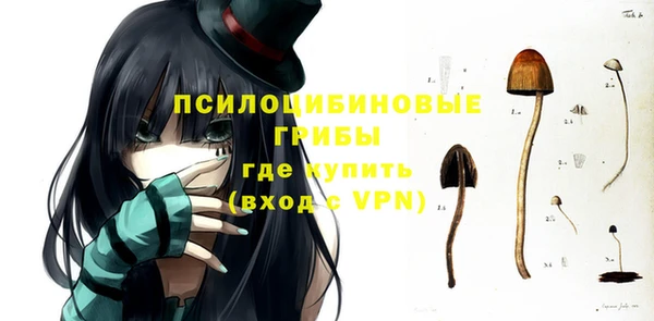 стаф Абаза